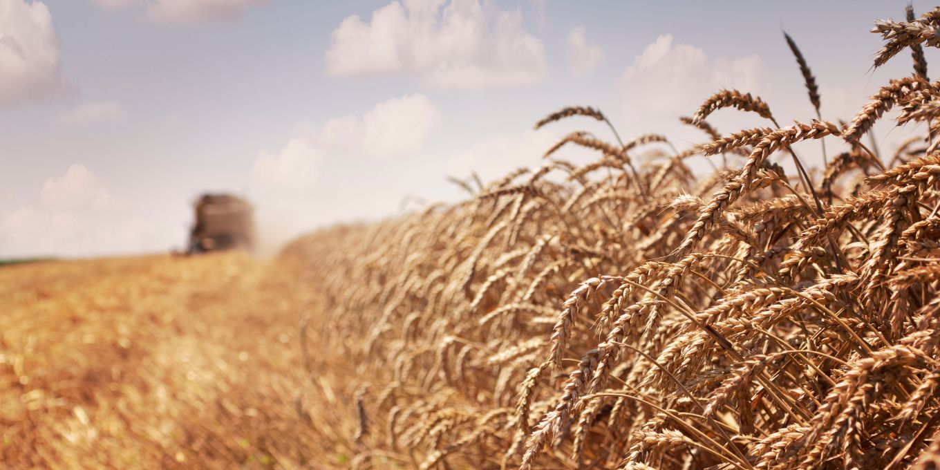 Loi d’urgence agricole : le Sénat fauche la raison !